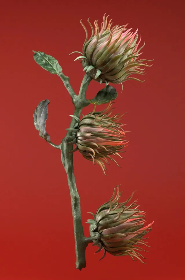 Botanical Illustration on Red