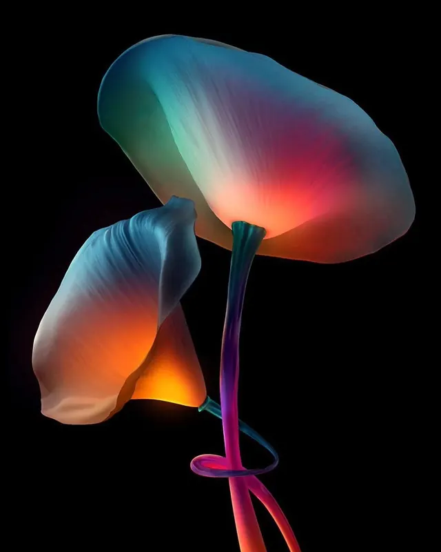 Iridescent Mushroom Illustration