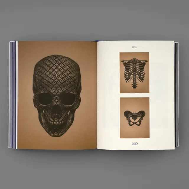 Skull art & bone illustration collection (slide 9)