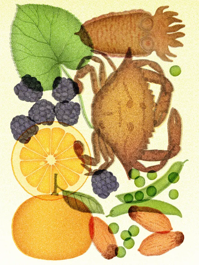 Illustrated fruit and creature carousel for seasonal calendar, illustrated, organic, warm
