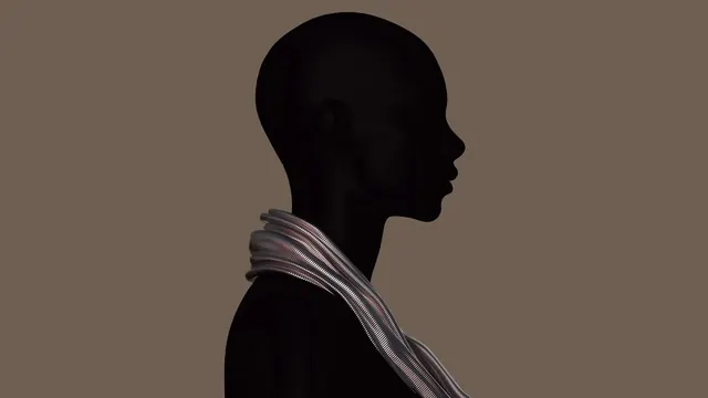 Geometric silhouette portrait with draped detail, geometric, minimalist, monochrome