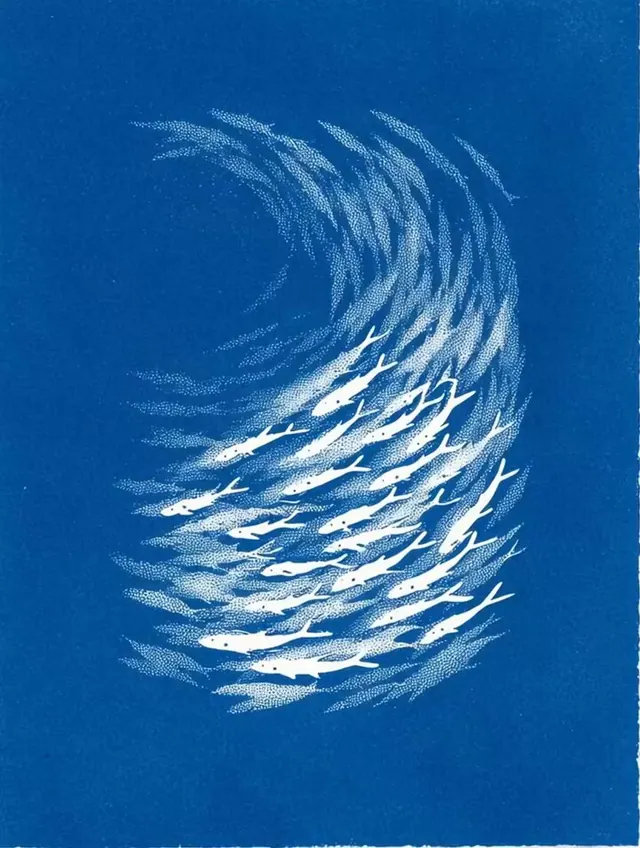 Cyanotype Fish Vortex, abstract, dark