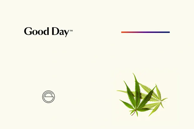 Good Day branding layout with minimalist iconography, minimal, swiss, light