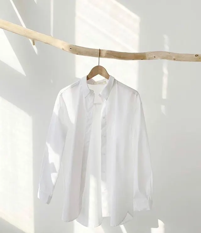 Minimal organic photograph, minimal, organic, light