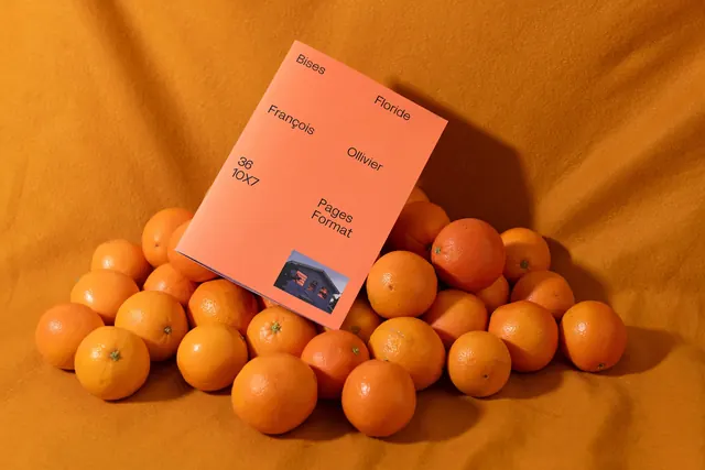 Product Packaging Mockup