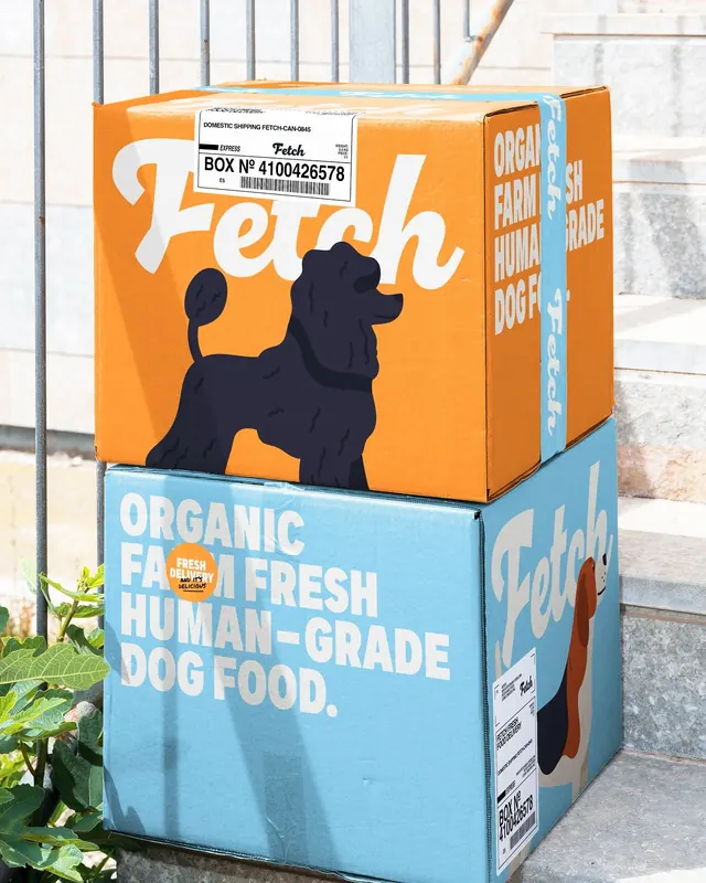 Playful photographic packaging, playful, photographic, light
