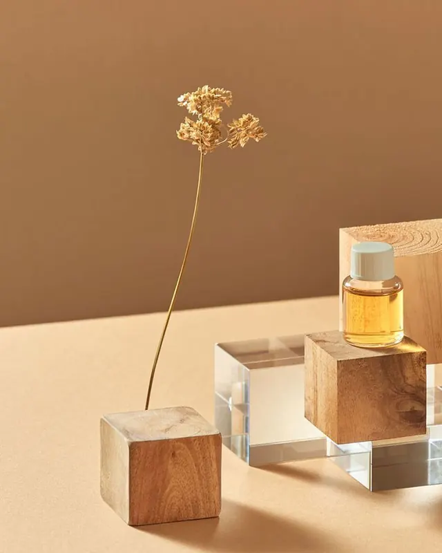 Minimal luxury photograph, minimal, luxury, light