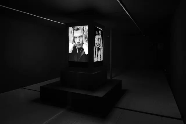 Monochrome Portrait Display, minimal, dark-mode, monochrome