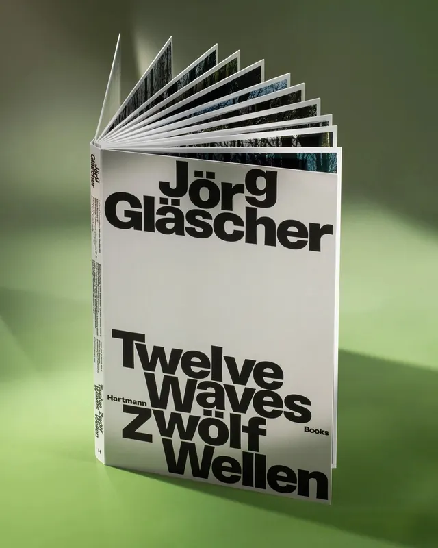 Twelve Waves Book Cover