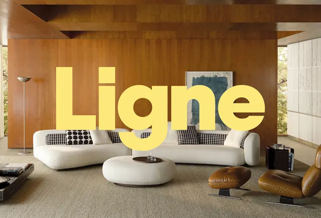 Ligne Interior Mockup