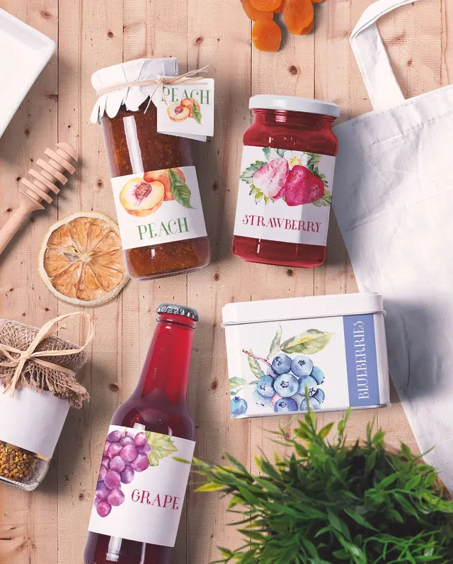 Fruit Watercolor Illustrations, editorial, organic, light