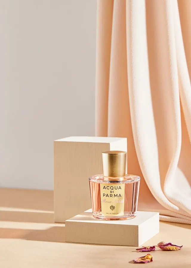 Luxury photographic photograph, luxury, photographic, light
