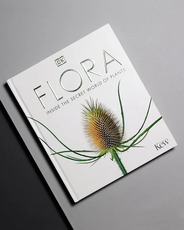Flora book cover mockup, minimal, editorial, light