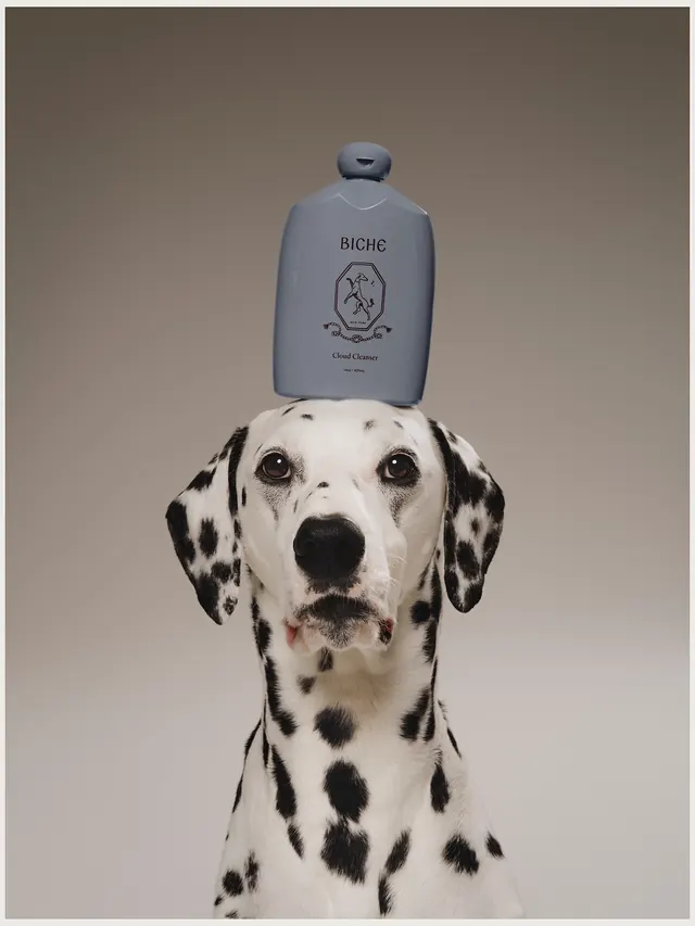 Dog holding branded cleanser bottle product mockup, illustrated, playful, light