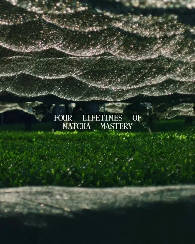 Tea field motion montage with matcha mastery text, photographic, dark-mode, dark