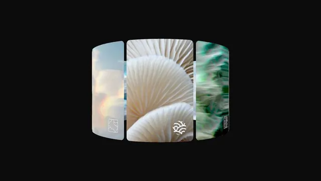 WebGL Heightfield Cards, abstract, 3d-render, vibrant