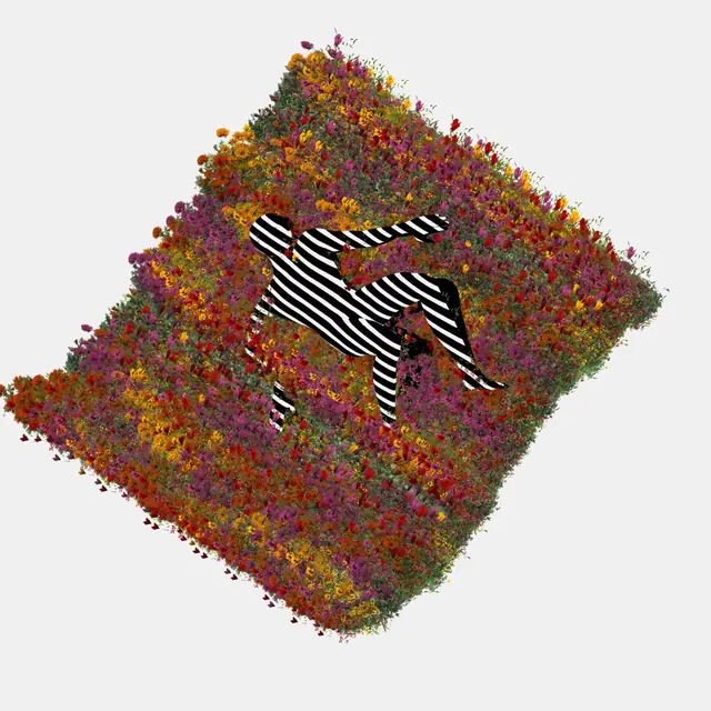 Zebra Figure in Flower Field, abstract, 3d-render, vibrant