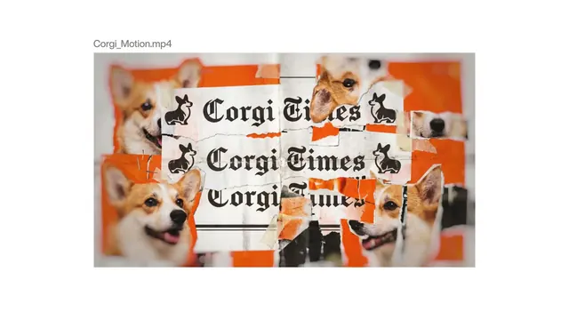 Corgi Times, playful, editorial, vibrant