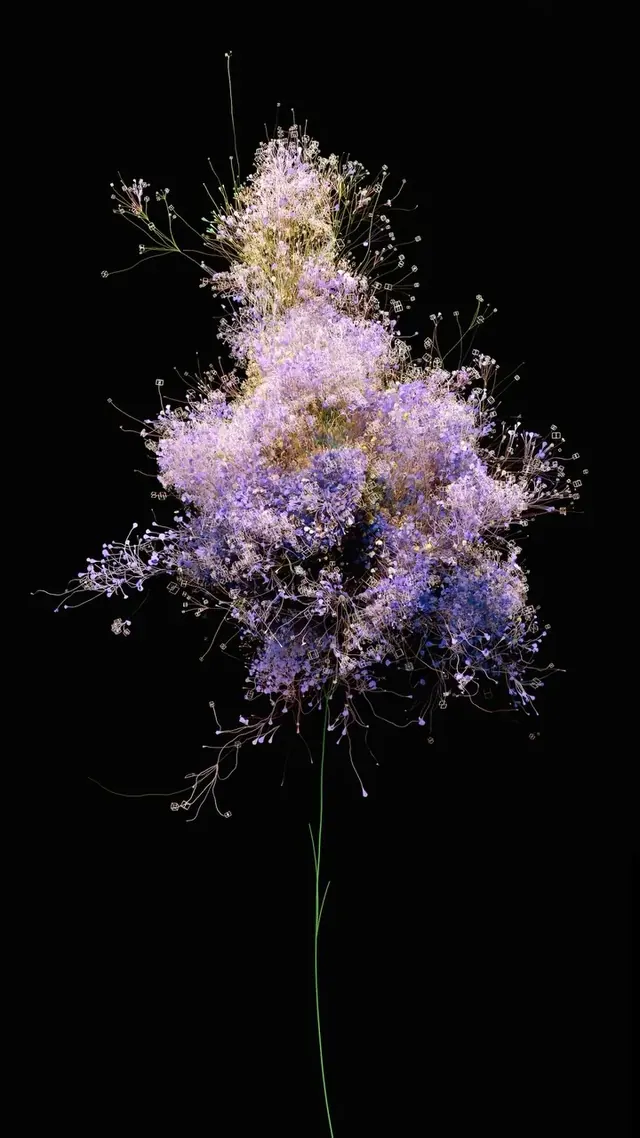 Bloom, abstract, minimal, dark