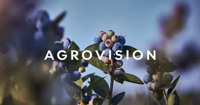 Agrovision OG card, photographic, minimal, cool