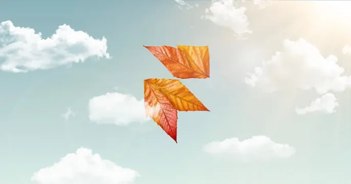 Fall Event Framer OG card, photographic, minimal, light
