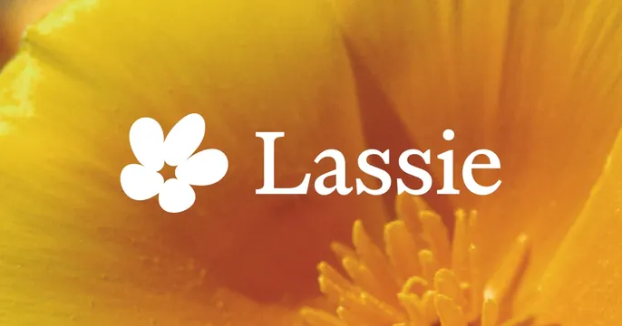 Lassie OG card, photographic, minimal, warm