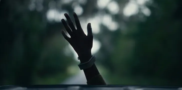 Silhouetted hand reaching to nature, photographic, organic, dark
