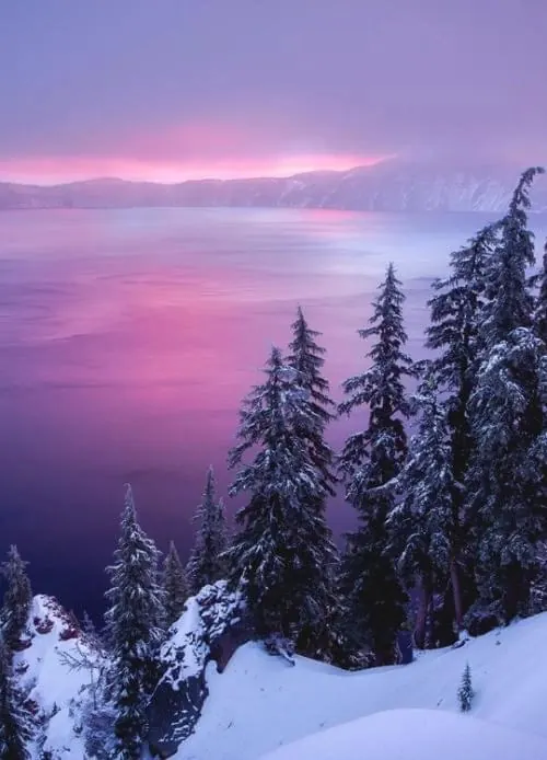 Winter Lake Landscape