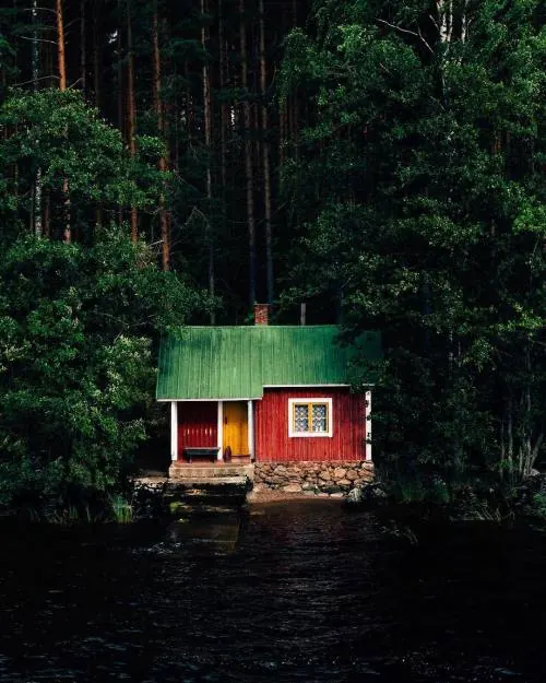 Red Cabin in Forest