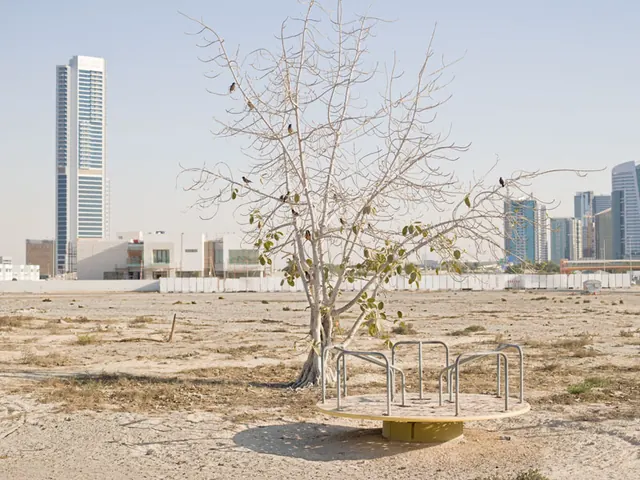 Desert Landscape with Modern Architecture
