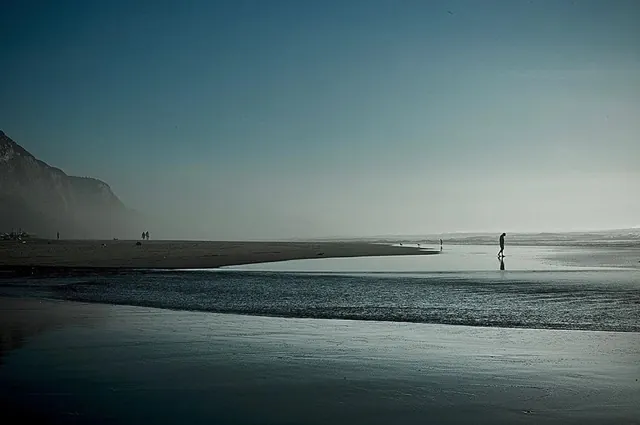 Misty beach with figures and surfer, photographic, minimalist, cool