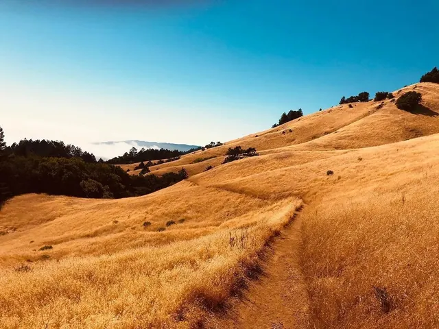 Rolling golden hills landscape, photographic, warm, warm