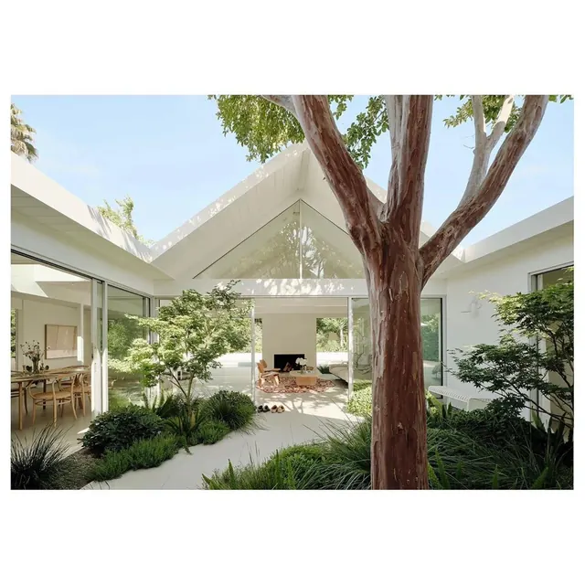 Modern courtyard remodel with architectural tree, minimal, corporate-clean, light