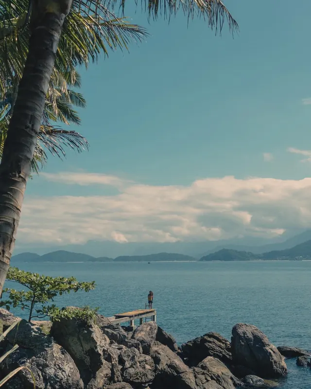 Coastal landscape with palm and figure, photographic, organic, cool