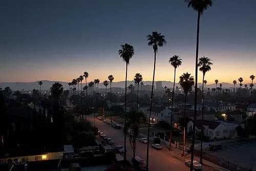 Palm Tree Sunset Landscape