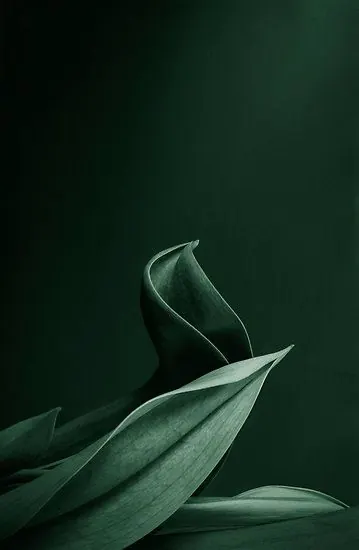 Dark Green Botanical Close-up