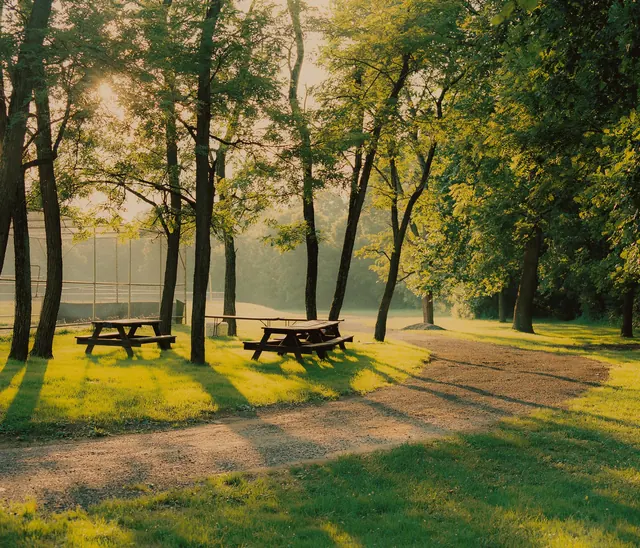 Sunlit Park Path