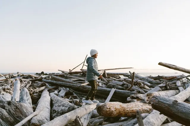 Person Standing on Driftwood Beach