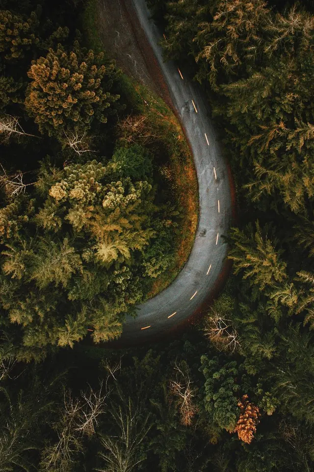 Aerial forest road with winding curve, photographic, organic, warm