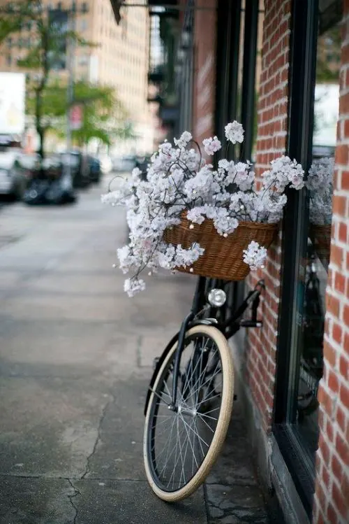 Bicycle with Flower Basket