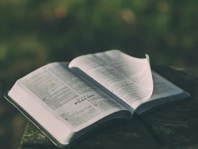 Open bible on green background, photographic, editorial, cool