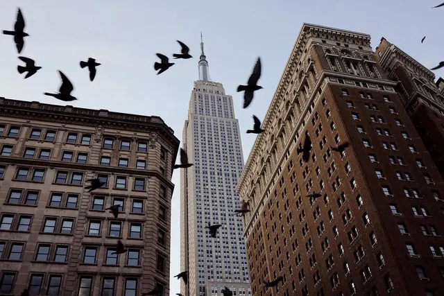 NYC skyline with birds and Empire State Building, photographic, architectural, cool