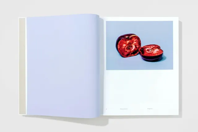 Publication art direction magazine spread, photographic, editorial, light