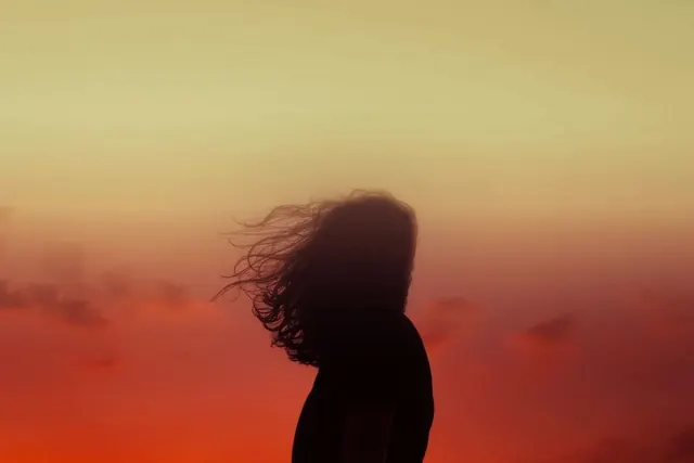Silhouette portrait against gradient sky, photographic, organic, vibrant