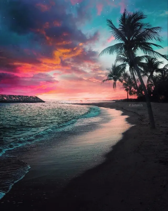Tropical beach sunset with palm trees and ocean, photographic, saturated, warm