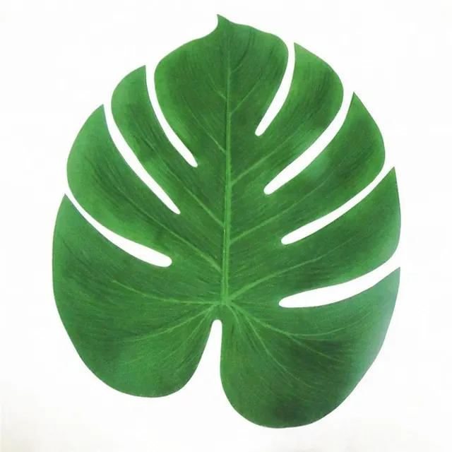 Monstera leaf botanical photograph, photographic, minimal, vibrant