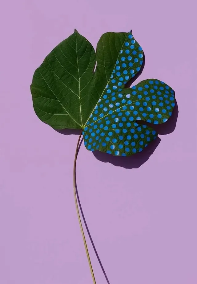 Polka Dot Leaf Composition