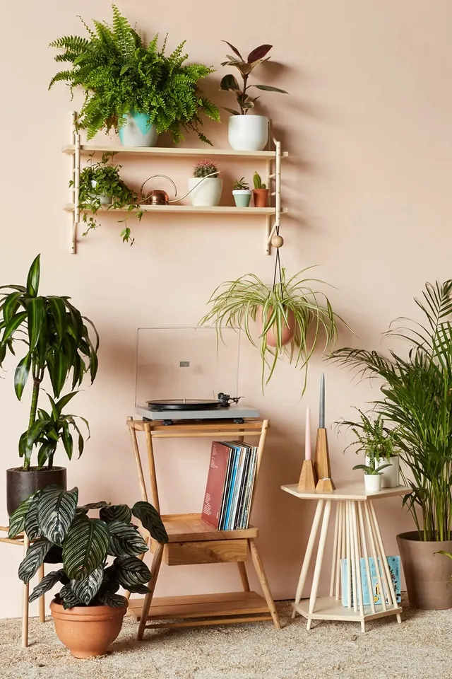 Mid-century room with shelving, vinyl turntable, and plants, photographic, minimal, warm