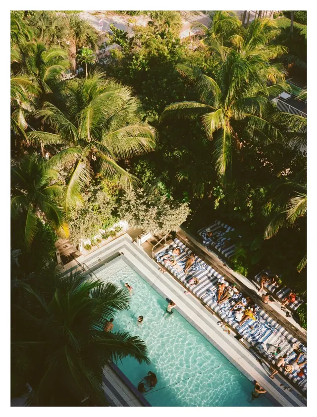 Overhead pool and loungers in tropical garden, photographic, warm, warm