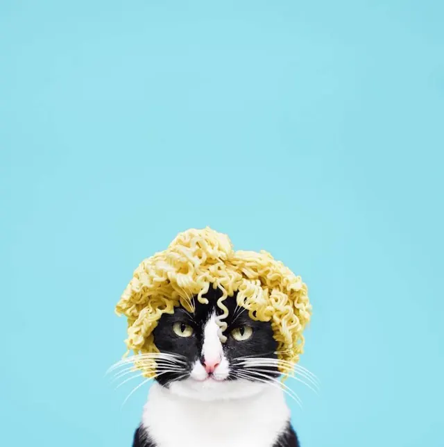 Cat with Yellow Headpiece
